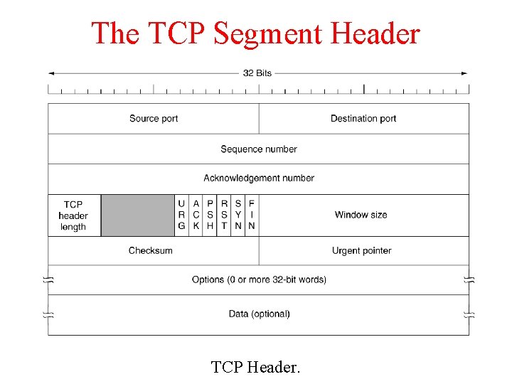 The TCP Segment Header TCP Header. 