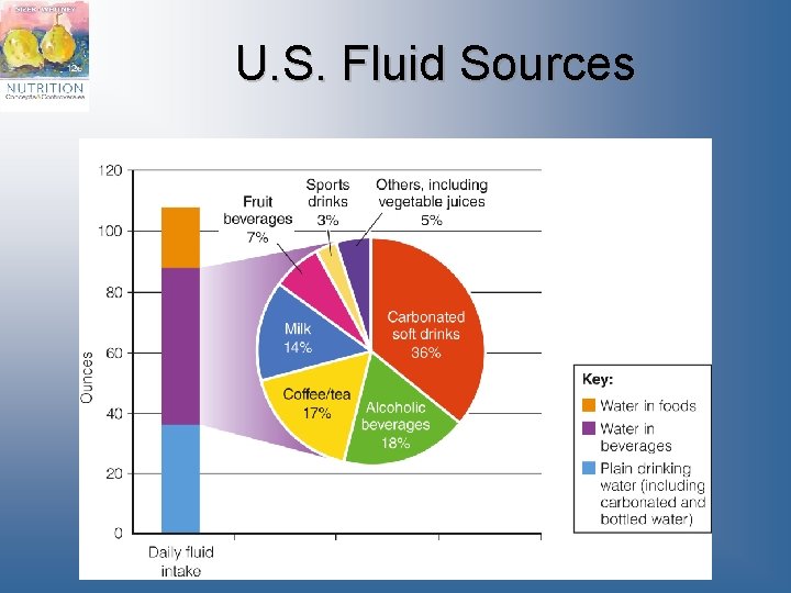 U. S. Fluid Sources 