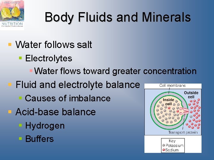 Body Fluids and Minerals § Water follows salt § Electrolytes § Water flows toward