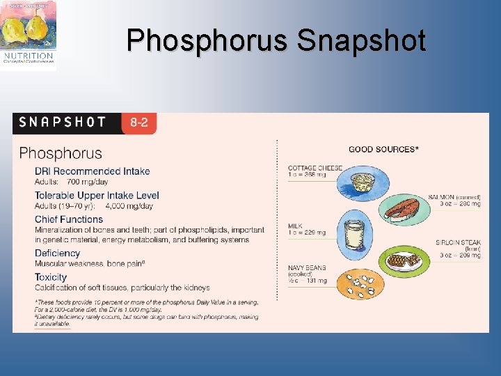 Phosphorus Snapshot 