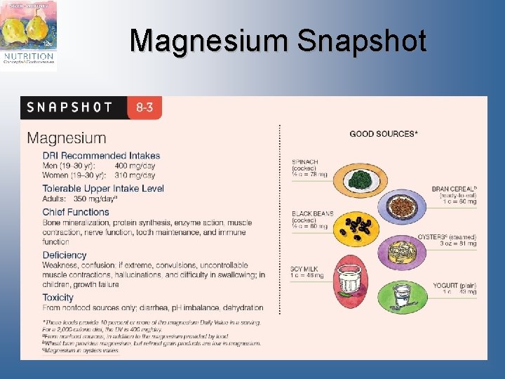 Magnesium Snapshot 