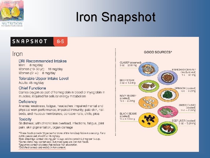 Iron Snapshot 