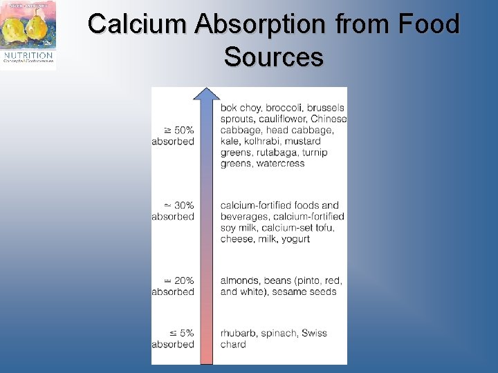 Calcium Absorption from Food Sources 