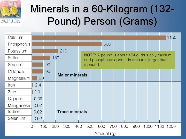 Minerals in a 60 -Kilogram (132 Pound) Person (Grams) 