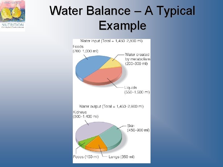 Water Balance – A Typical Example 
