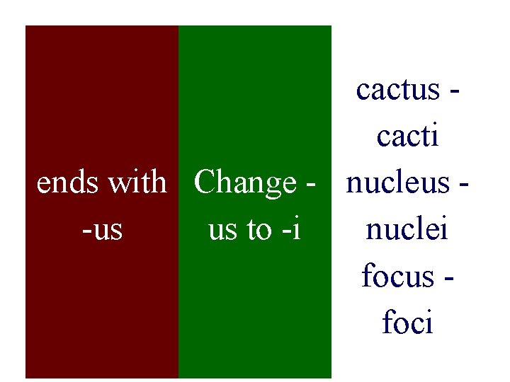 cactus cacti ends with Change - nucleus -us us to -i nuclei focus foci