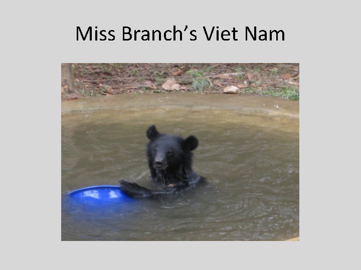 Miss Branch’s Viet Nam 