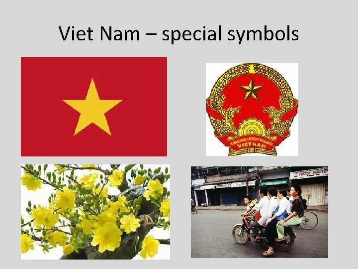 Viet Nam – special symbols 