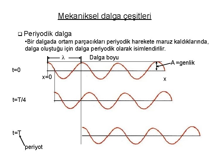 Mekaniksel dalga çeşitleri q Periyodik dalga • Bir dalgada ortam parçacıkları periyodik harekete maruz