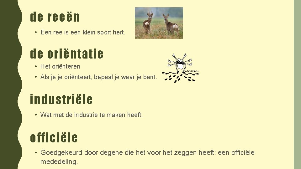 de reeën • Een ree is een klein soort hert. de oriëntatie • Het
