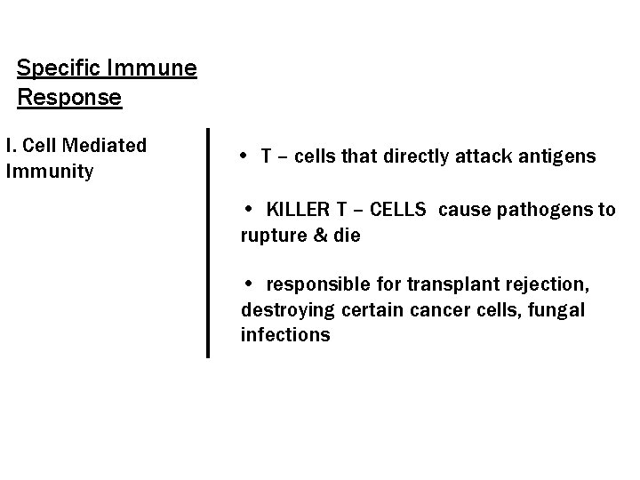 Specific Immune Response I. Cell Mediated Immunity • T – cells that directly attack