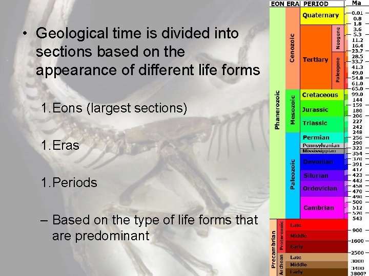  • Geological time is divided into sections based on the appearance of different