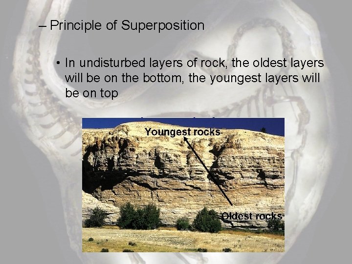– Principle of Superposition • In undisturbed layers of rock, the oldest layers will