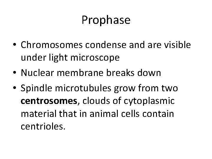 Prophase • Chromosomes condense and are visible under light microscope • Nuclear membrane breaks