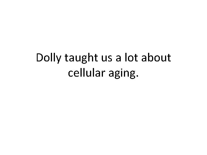 Dolly taught us a lot about cellular aging. 