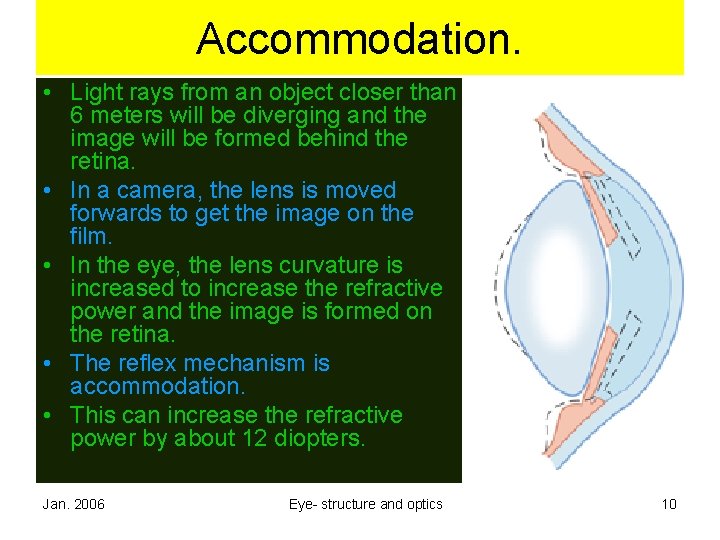 Accommodation. • Light rays from an object closer than 6 meters will be diverging Accommodation. • Light rays from an object closer than 6 meters will be diverging