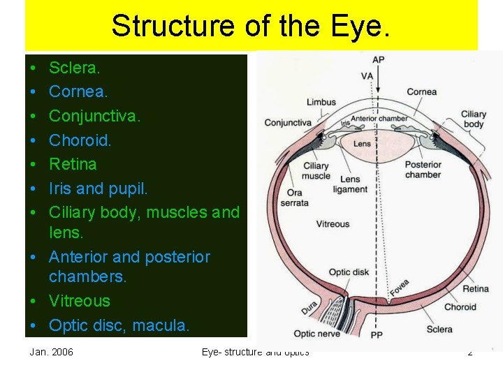 Structure of the Eye. • • Sclera. Cornea. Conjunctiva. Choroid. Retina Iris and pupil. Structure of the Eye. • • Sclera. Cornea. Conjunctiva. Choroid. Retina Iris and pupil.