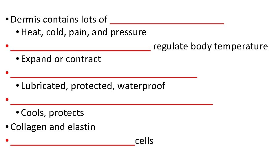  • Dermis contains lots of ___________ • Heat, cold, pain, and pressure •