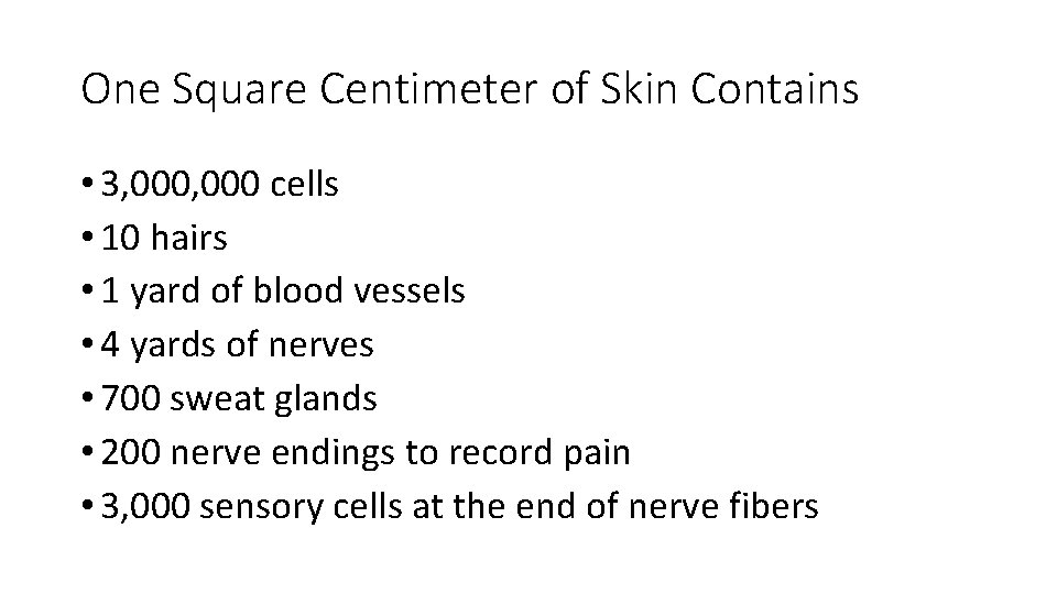 One Square Centimeter of Skin Contains • 3, 000 cells • 10 hairs •