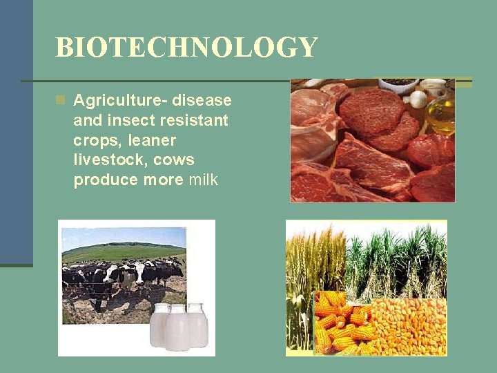 BIOTECHNOLOGY n Agriculture- disease and insect resistant crops, leaner livestock, cows produce more milk