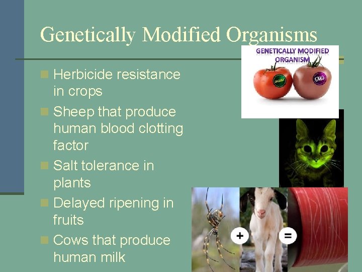 Genetically Modified Organisms n Herbicide resistance in crops n Sheep that produce human blood