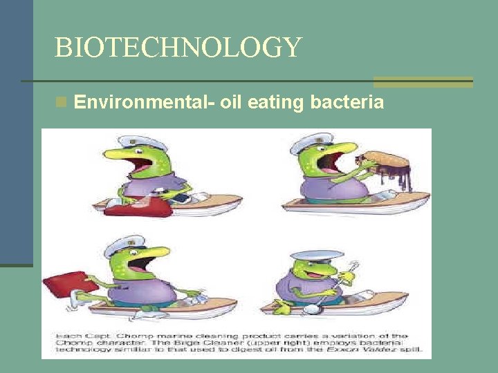 BIOTECHNOLOGY n Environmental- oil eating bacteria 