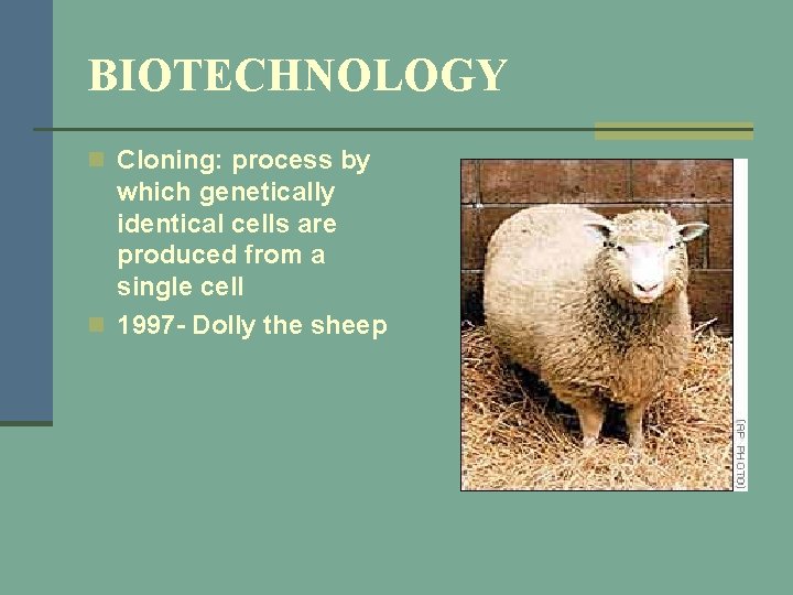 BIOTECHNOLOGY n Cloning: process by which genetically identical cells are produced from a single