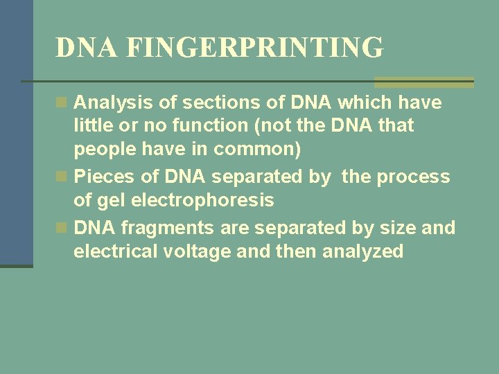 DNA FINGERPRINTING n Analysis of sections of DNA which have little or no function