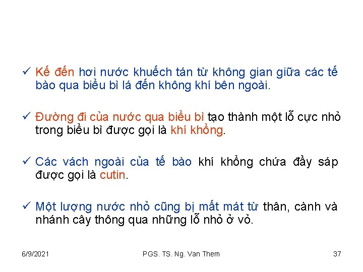 ü Kế đến hơi nước khuếch tán từ không gian giữa các tế bào