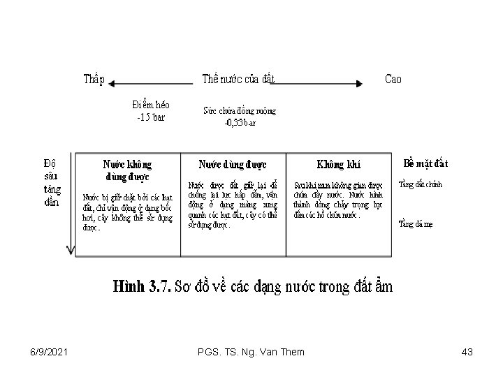 6/9/2021 PGS. TS. Ng. Van Them 43 