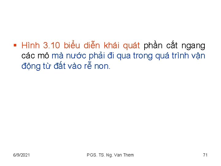 § Hình 3. 10 biểu diễn khái quát phần cắt ngang các mô mà