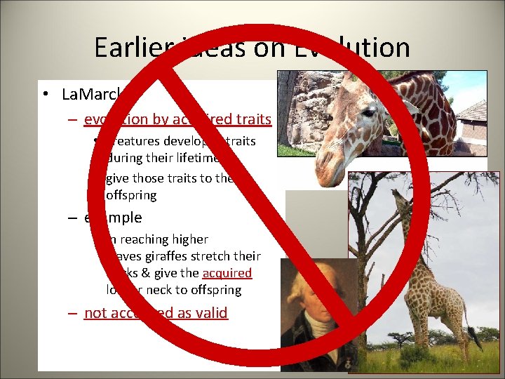 Earlier ideas on Evolution • La. Marck – evolution by acquired traits • creatures