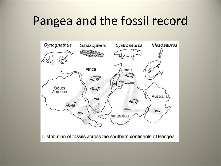 Pangea and the fossil record 