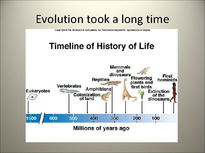 Evolution took a long time 