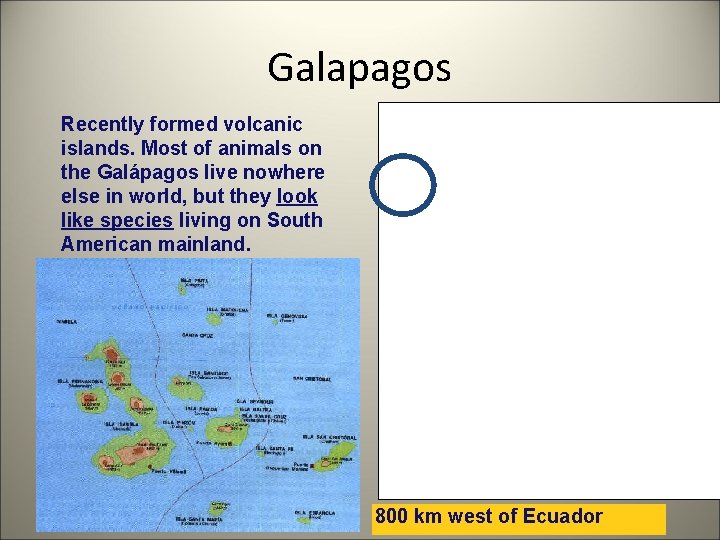 Galapagos Recently formed volcanic islands. Most of animals on the Galápagos live nowhere else