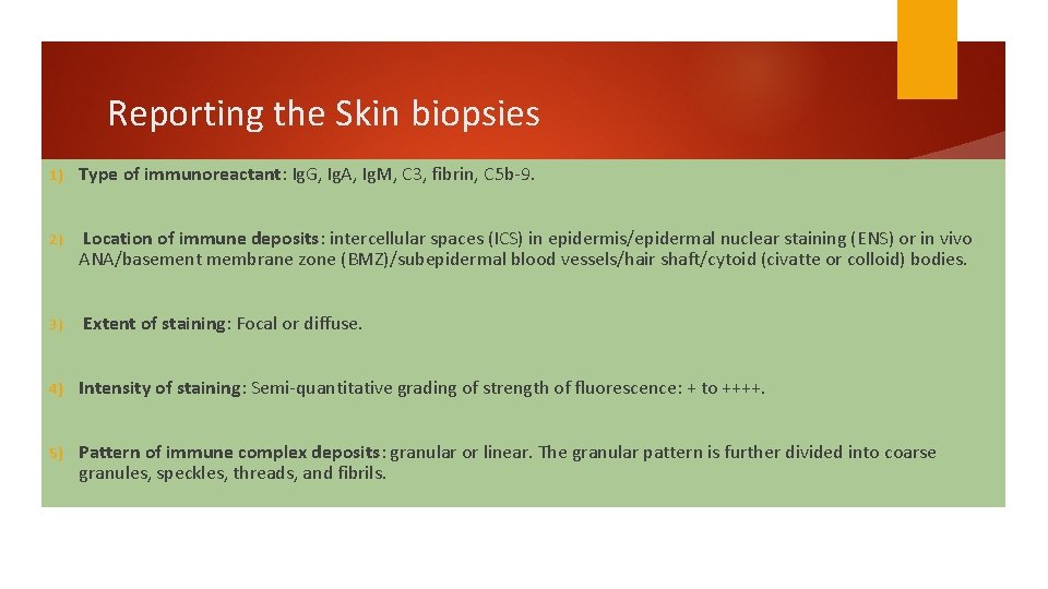Reporting the Skin biopsies 1) Type of immunoreactant: Ig. G, Ig. A, Ig. M,
