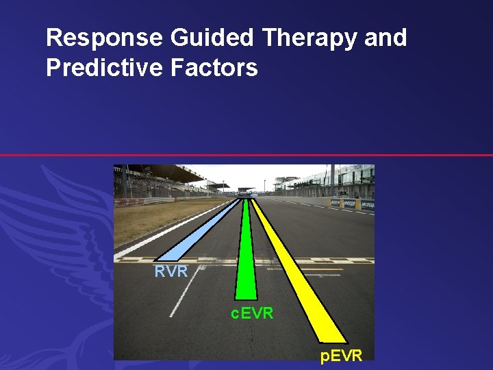 Response Guided Therapy and Predictive Factors RVR c. EVR p. EVR 