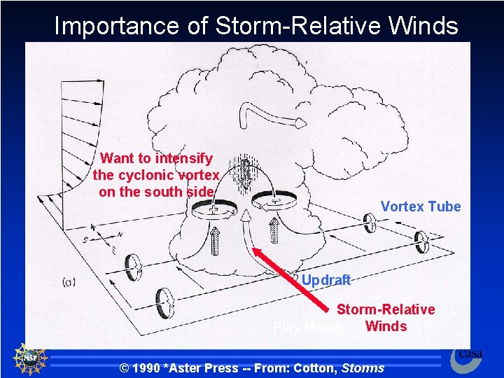 Importance of Storm-Relative Winds Want to intensify the cyclonic vortex on the south side