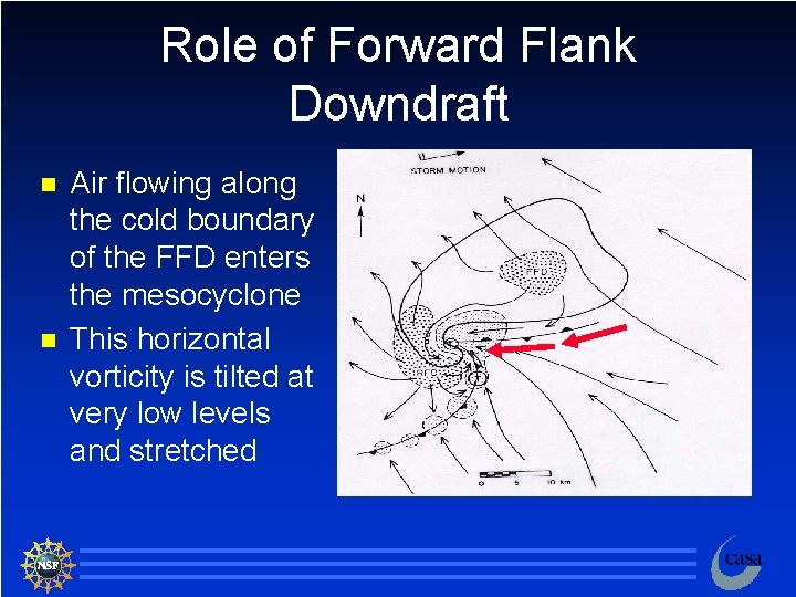 Role of Forward Flank Downdraft n n Air flowing along the cold boundary of