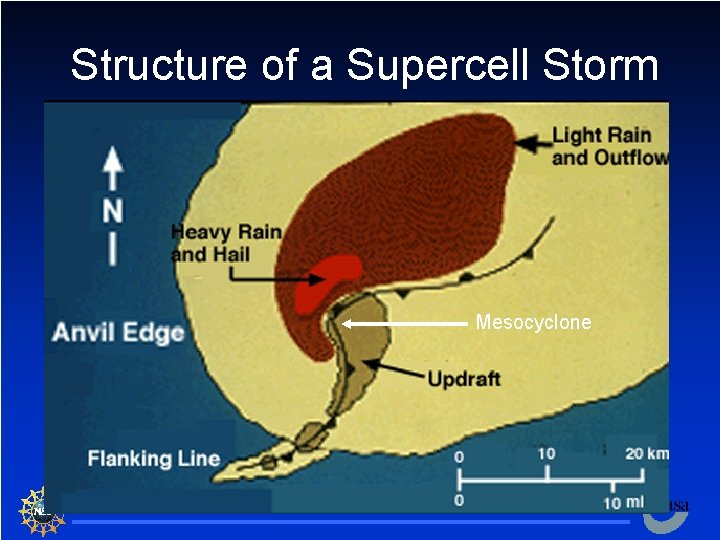 Structure of a Supercell Storm Mesocyclone 13 