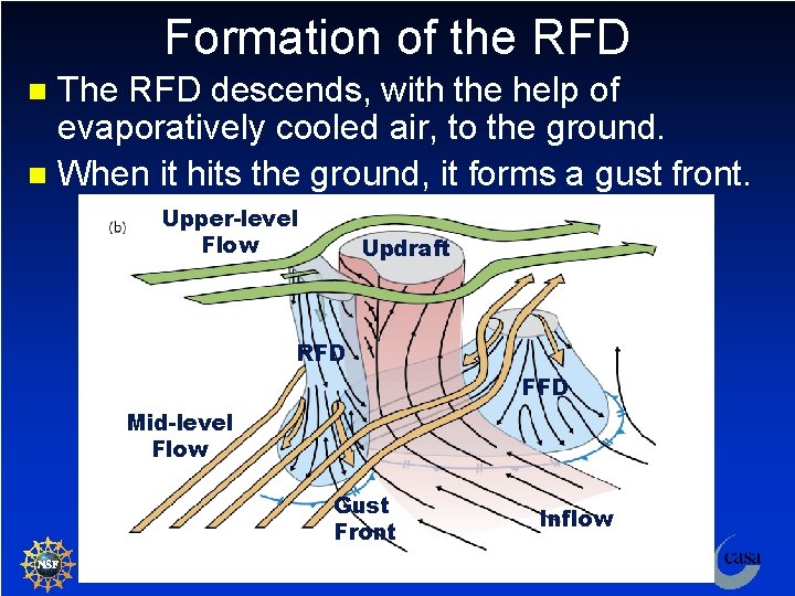 Formation of the RFD The RFD descends, with the help of evaporatively cooled air,