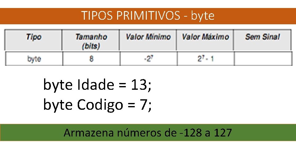 TIPOS PRIMITIVOS - byte Idade = 13; byte Codigo = 7; Armazena números de