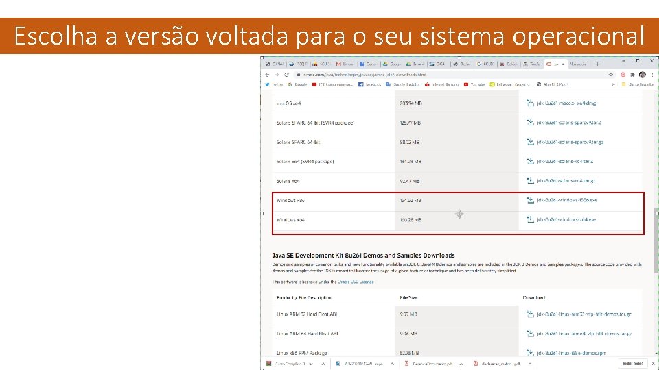 Escolha a versão voltada para o seu sistema operacional 