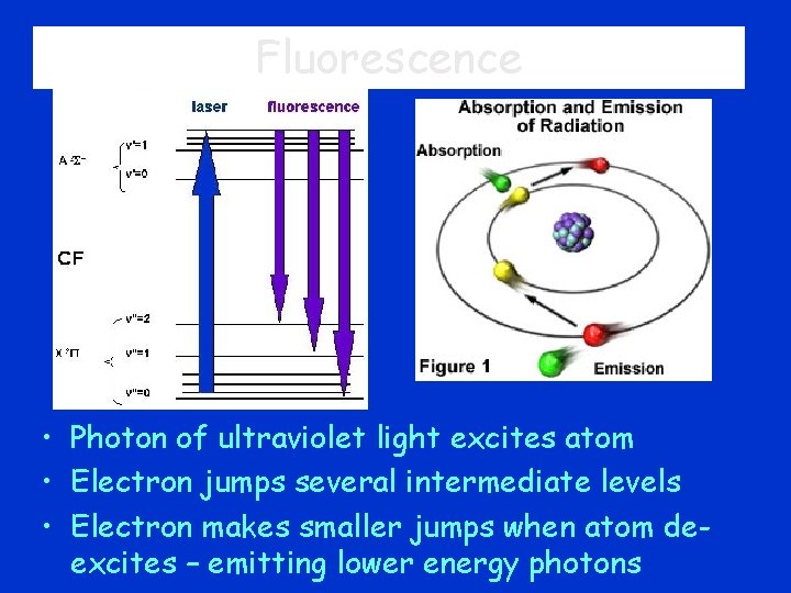Fluorescence • Photon of ultraviolet light excites atom • Electron jumps several intermediate levels