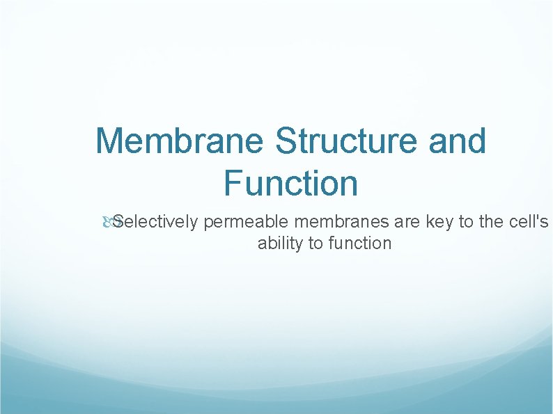 Membrane Structure and Function Selectively permeable membranes are key to the cell's ability to