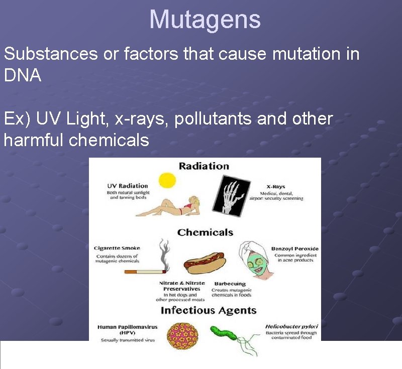 Mutagens Substances or factors that cause mutation in DNA Ex) UV Light, x-rays, pollutants