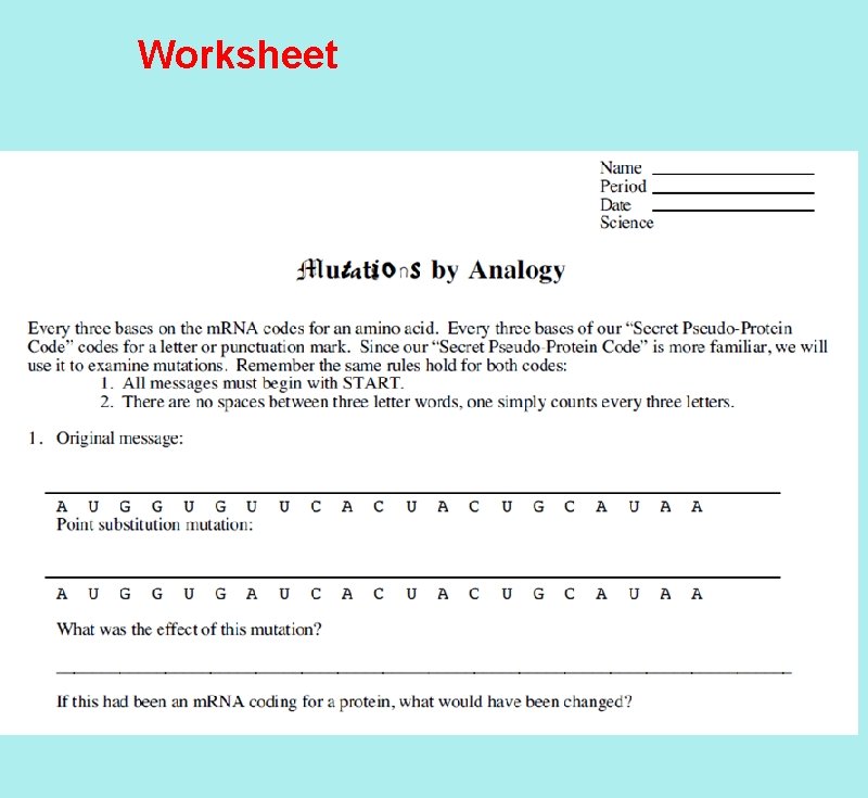 Worksheet 