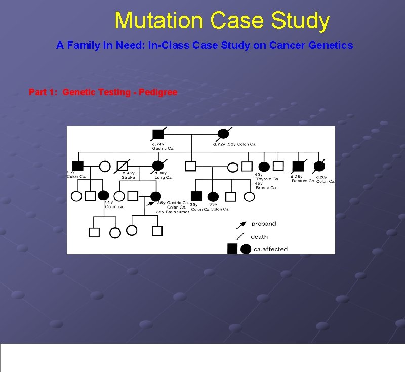 Mutation Case Study A Family In Need: In-Class Case Study on Cancer Genetics Part