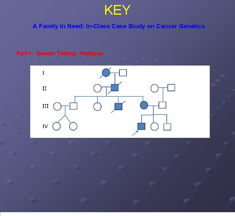 KEY A Family In Need: In-Class Case Study on Cancer Genetics Part 1: Genetic