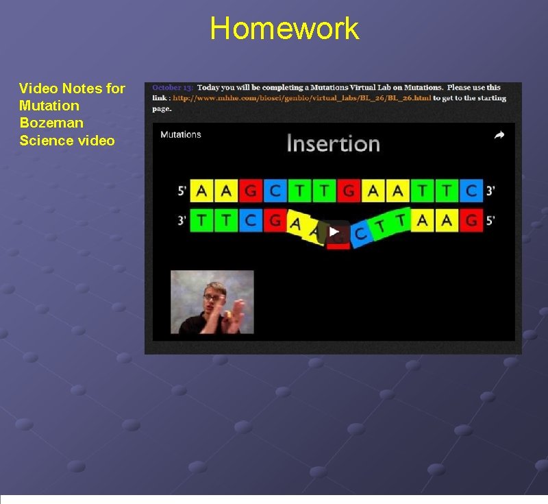 Homework Video Notes for Mutation Bozeman Science video 